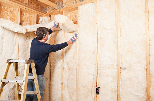 Best Radiant Barrier Insulation  in Anson, TX